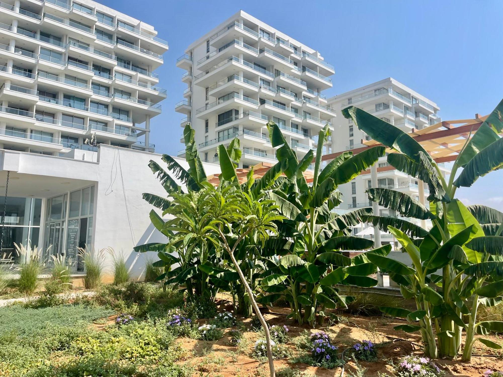 Sea View Suites By The Coast 法马古斯塔 外观 照片
